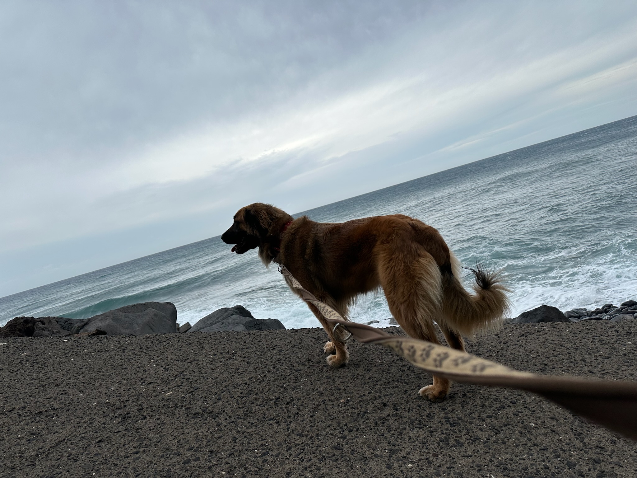 Lieselottes erstes Mal